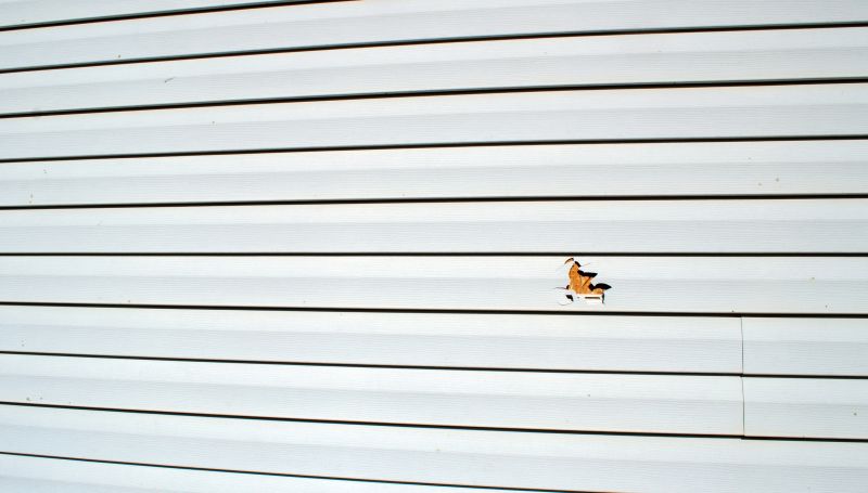 Damaged Siding Panel